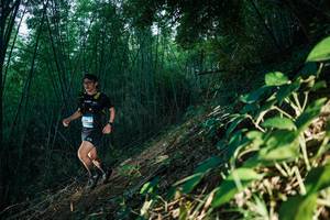 BIB: 
                            <button type="button" onclick="openModal(28123181)" class="btn btn-primary btn-sm float-right btn-popup" data-toggle="modal" data-target=".modal-high-quality">
                        <i class="fas fa-shopping-cart"></i> Add to Cart
                    </button>
                                            <button type="button" onclick="isThisMe(28123181, true)" class="btn btn-success btn-sm float-right btn-popup btn-isme hidden" data-toggle="tooltip" data-placement="bottom" title="นี่คือรูปของคุณใช่ไหม คลิกที่นี่เพื่อเอาเข้าอัลบั้ม">
                        <i class="fas fa-plus"></i> Add to album
                    </button>
                    <button type="button" onclick="isThisMe(28123181, false)" class="btn btn-warning btn-sm float-right btn-popup btn-isnotme hidden">
                        <i class="fas fa-ban"></i> Remove from album
                    </button>